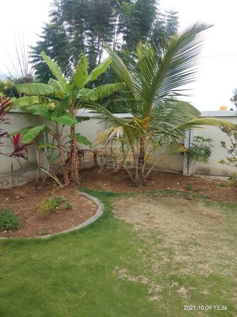 3 BHK Villa For Resale in Kamandoddi Hosur  5332077