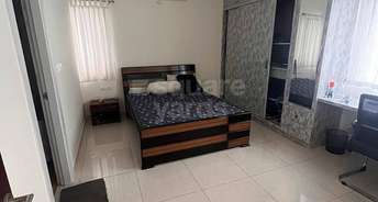 2 BHK Apartment For Rent in Prestige High Fields Gachibowli Hyderabad 5336447