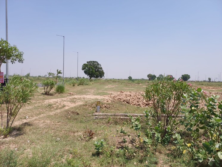 500 Sq.Mt. Plot in Yamuna Expressway Greater Noida