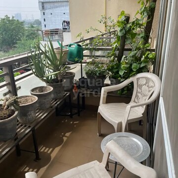 Balcony in 3 BHK Apartment at Tulip Violet, Sector 69 – for Rent