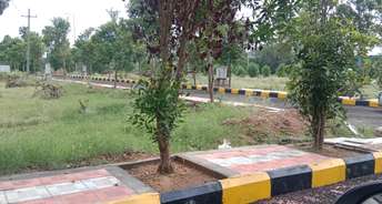  Plot For Resale in West Marredpally Hyderabad 5341440