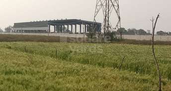Commercial Warehouse 600 Sq.Yd. For Resale In Sikri Faridabad 5341932