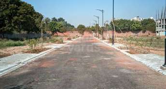  Plot For Resale in Sector 67a Gurgaon 5341956