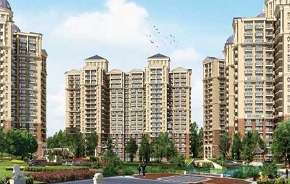 3 BHK Apartment For Resale in Ambika Florence Park North Mullanpur Chandigarh 5342259