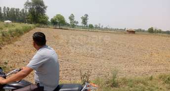 Commercial Land 4230 Sq.Yd. For Resale In Elampur Aligarh 5345338