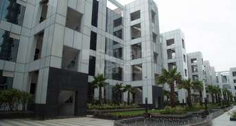 Commercial Office Space 750 Sq.Ft. For Resale In Sector 132 Noida 5346262