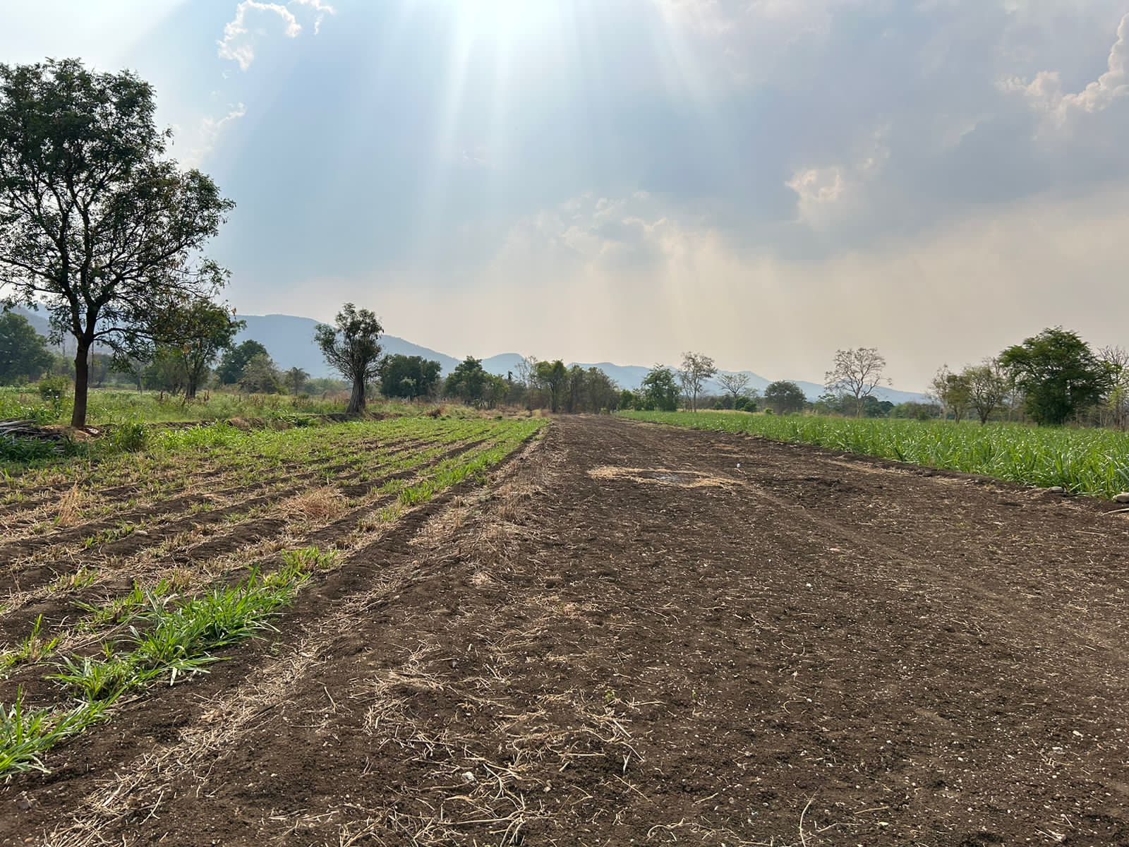 Resale 2223 Sq.Ft. Plot in Kasarsai Pune 5347572