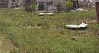 Plot For Resale in Sector 2 Faridabad 5347735