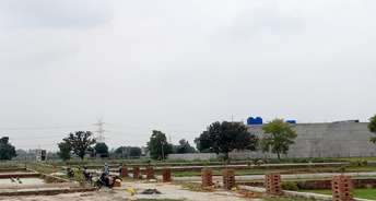  Plot For Resale in Anora Kala Lucknow 5348586