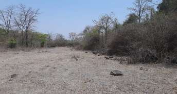 Commercial Land 2 Acre For Resale In Neral Navi Mumbai 5349886