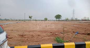  Plot For Resale in Amangal Hyderabad 5350443