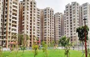 1 BHK Apartment For Resale in Stellar Jeevan Noida Ext Sector 1 Greater Noida 5351053
