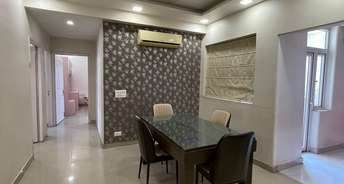 3 BHK Builder Floor For Resale in South City 1 Gurgaon 5351602