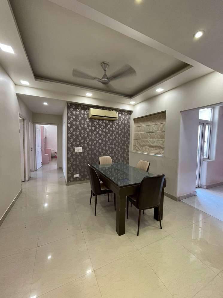 3 Bedroom 2020 Sq.Ft. Builder Floor in South City 1 Gurgaon