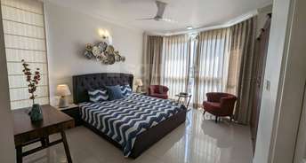 3 BHK Apartment For Resale in Dera Bassi Mohali 5352111