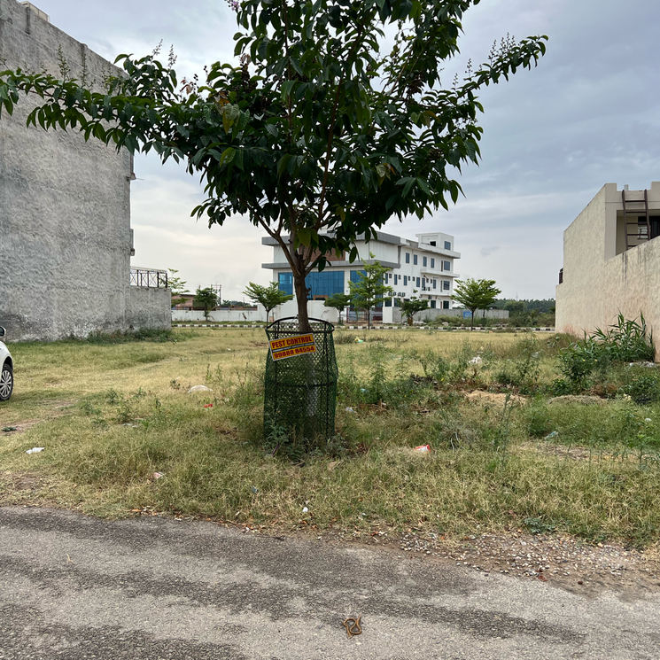 500 Sq.Yd. Plot in Sector 79 Mohali