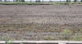 Commercial Industrial Plot 450 Sq.Mt. For Resale In Jewar Greater Noida 5354009