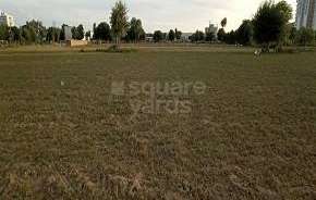 Plot For Resale in Sector 2 Gurgaon 5354223