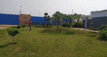  Plot For Resale in Noida Ext Sector 3 Greater Noida 5354336