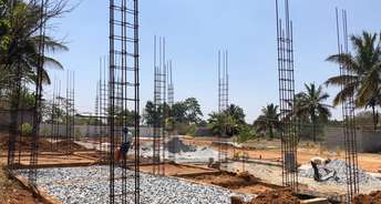  Plot For Resale in Electronic City Phase I Bangalore 5357877