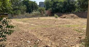 Commercial Land 2180 Sq.Yd. For Resale In Jagatpur Ahmedabad 5360009