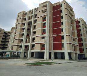 3 BHK Independent House For Resale in DDA Flats Vasant Kunj Vasant Kunj Delhi 5361712