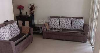2 BHK Apartment For Rent in R Euphoria Apartments Kondhwa Pune 5361914