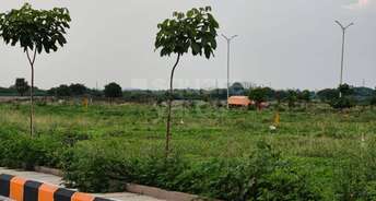  Plot For Resale in Bhanur Hyderabad 5361930