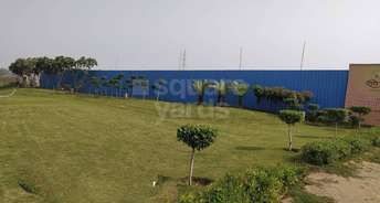  Plot For Resale in Noida Ext Sector 16b Greater Noida 5362432