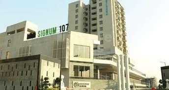 3 BHK Apartment For Resale in Signature Global Signum 107 Sector 107 Gurgaon 5362589