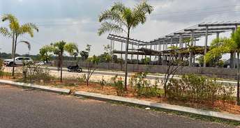  Plot For Resale in Choutuppal Hyderabad 5365150