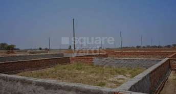  Plot For Resale in Noida Ext Sector 12 Greater Noida 5367929