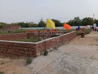  Plot For Resale in Pali Road Faridabad 5368947