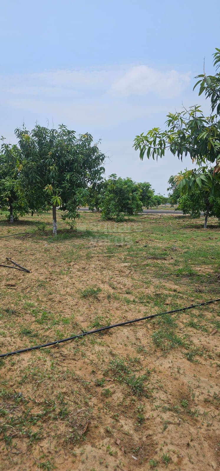 Resale 3 Bedroom 300 Sq.Yd. Villa in Sark Garden Villas, Mokila