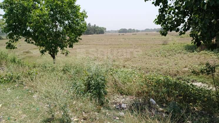 Commercial Land 100 Acre in Mohanlalganj Lucknow