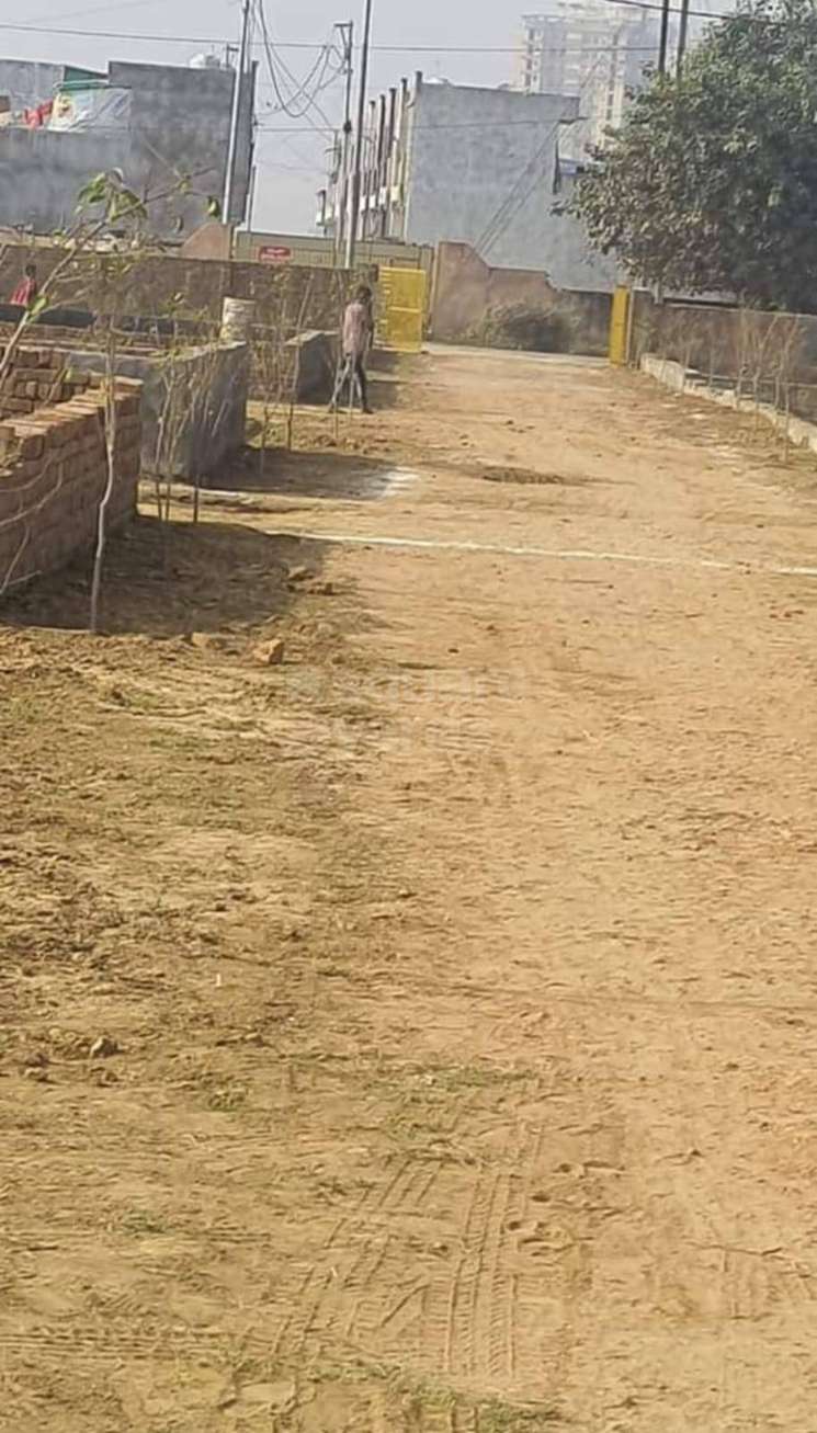50 Sq.Yd. Plot in Noida Ext Sector 12 Greater Noida