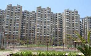 1 BHK Apartment For Resale in Stellar Jeevan Noida Ext Sector 1 Greater Noida 5373722