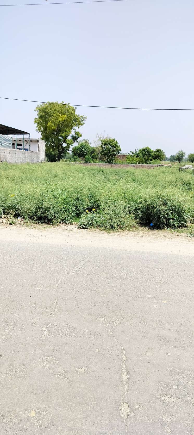 Commercial Land 121 Sq.Yd. in Dhouj Faridabad