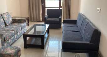 4 BHK Apartment For Rent in C Scheme Jaipur 5376674
