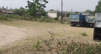 Commercial Land 371 Sq.Yd. For Resale In Aamwala Dehradun 5376914