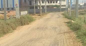 Commercial Industrial Plot 500 Sq.Yd. For Resale In Alipur Faridabad 5377344