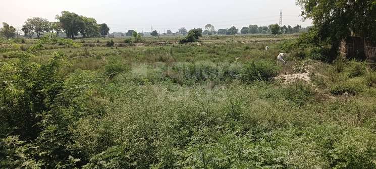 Commercial Land 27000 Sq.Ft. in Raebareli Road Lucknow