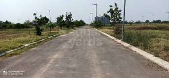  Plot For Resale in Mullanpur Chandigarh 5379479