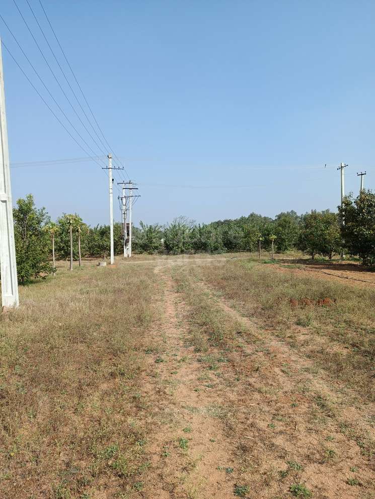 605 Sq.Yd. Plot in Moinabad Hyderabad