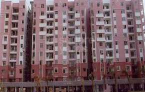 3 BHK Apartment For Resale in Kajaria Green Alwar Bypass Road Bhiwadi 5383557