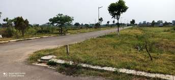  Plot For Resale in Mullanpur Chandigarh 5384716