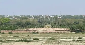 Plot For Resale in Sector 56a Faridabad 5385797