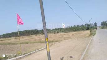 Commercial Industrial Plot 1200 Sq.Yd. For Resale In Dera Bassi Mohali 5386249