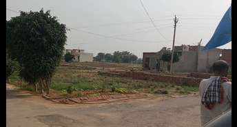  Plot For Resale in Sikri Faridabad 5388409