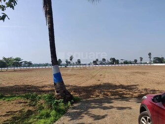 Plot For Resale in Purushothapuram Srikakulam  5226891